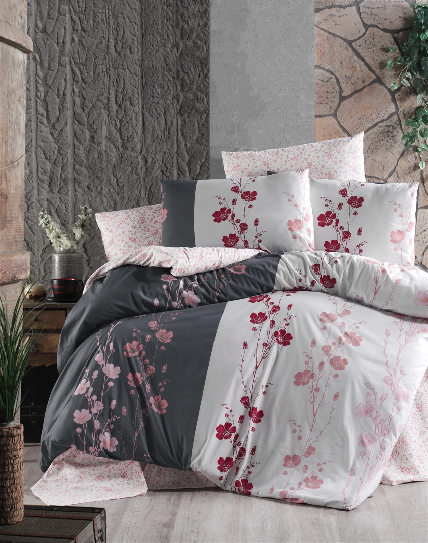 FC66 Camelia Anthracite